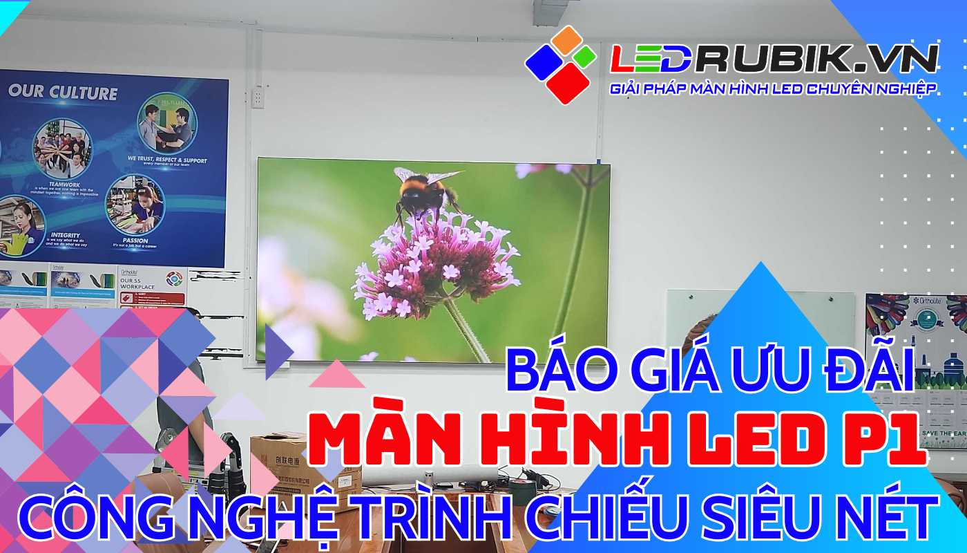 Màn hình LED P1.86 phòng họp