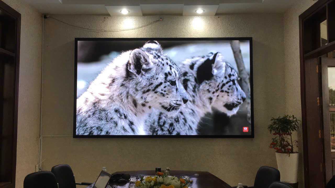 Màn Hình LED P2 Phòng Họp Tại Công Ty Intimex