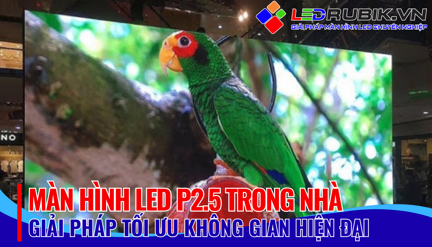 MÀN HÌNH LED P2.5 TRONG NHÀ