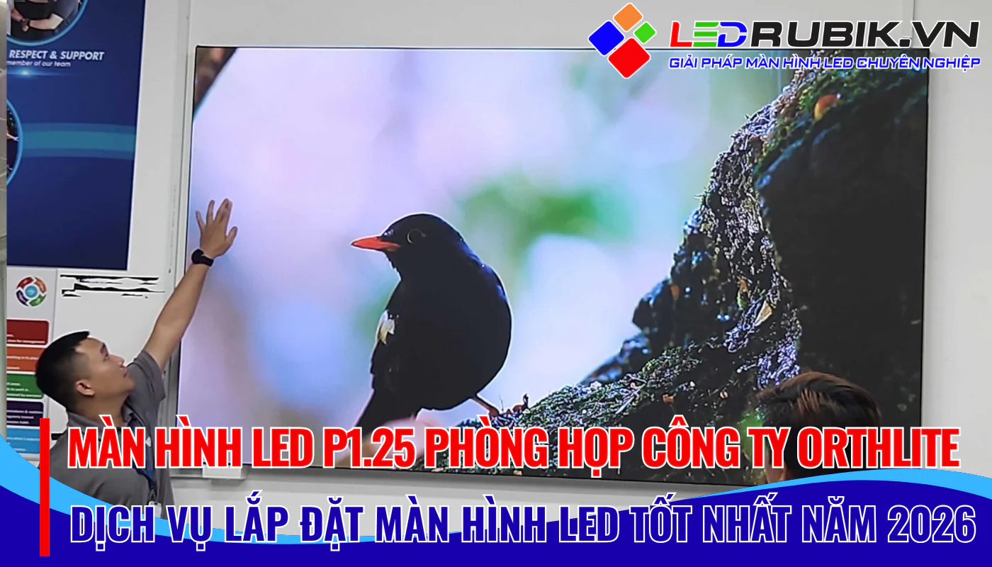 Màn Hình LED P1.25 Phòng Họp Công Ty Orthlite Việt Nam – KCN VSIP 2A, TP.HCM