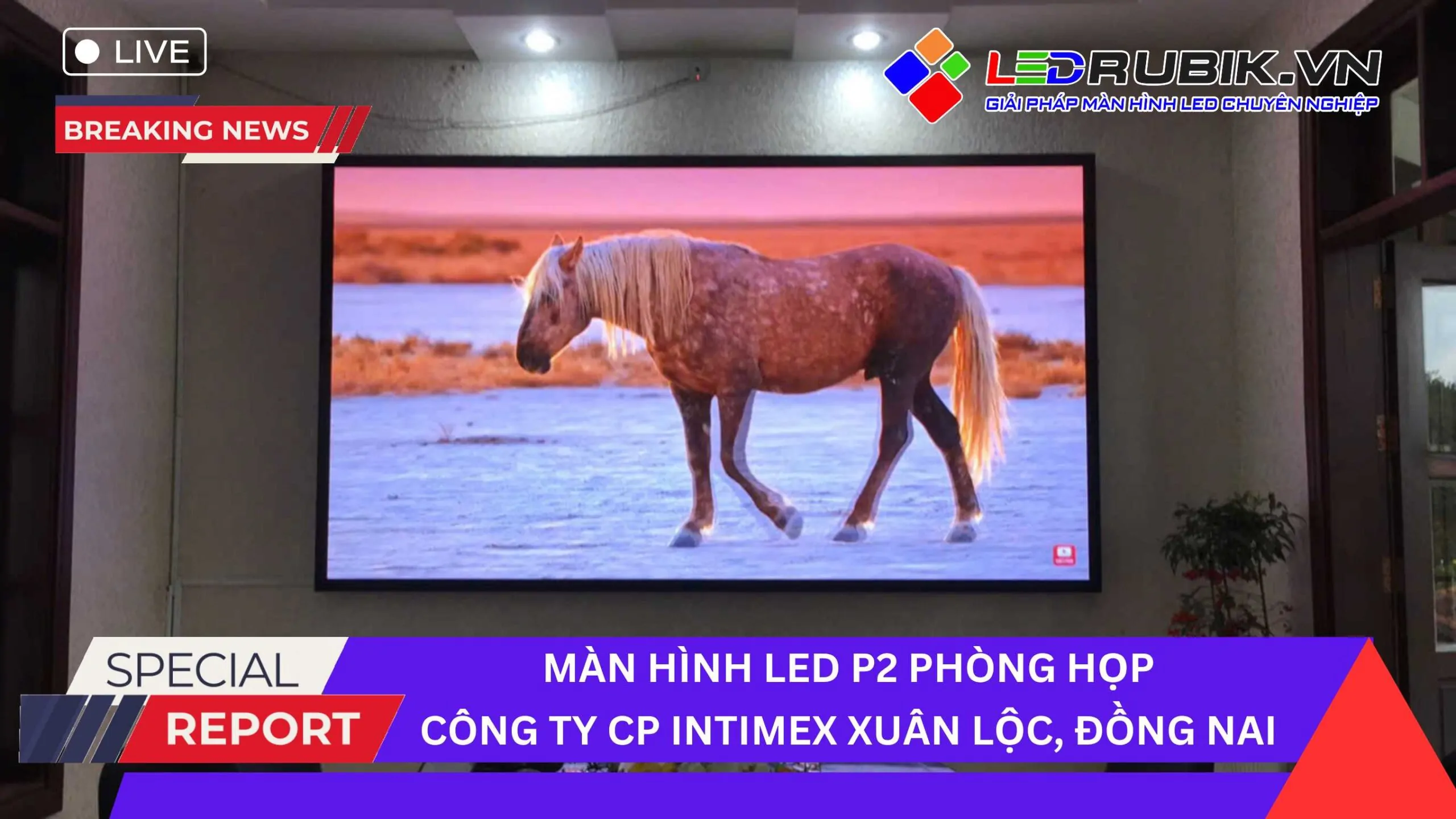Lắp Đặt Màn Hình LED P2 Phòng Họp Tại Công Ty Intimex Xuân Lộc, Đồng Nai